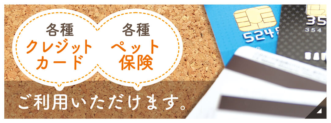 各種クレジット、ペット保険、ご利用いただけます。