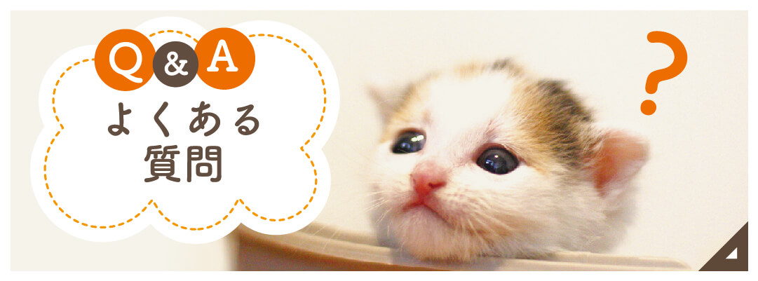 よくあるご質問|詳しくはこちら
